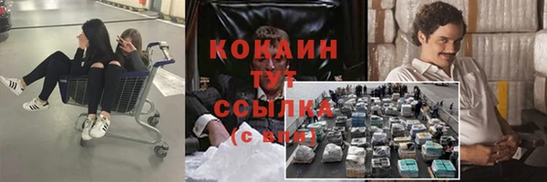 Альфа ПВП Алзамай