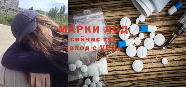 стафф Долгопрудный