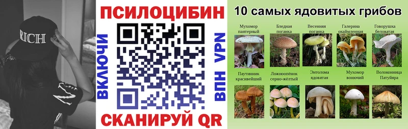 дарнет шоп  даркнет телеграм  Псилоцибиновые грибы ЛСД  Пикалёво 